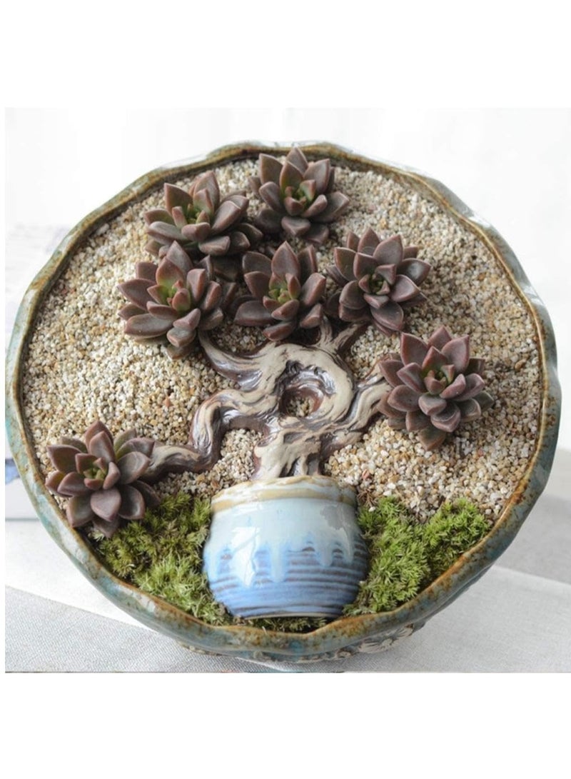 Natural Coarse Sand 1900g,Rocks for Plants,Decorative Stones,Aquarium Sand, Sand Bag, COLORING, PETS, Aquarium FILERATION, PURIFICATION, LANDSCAPING, INDOOR & OUTDOOR - Image 4